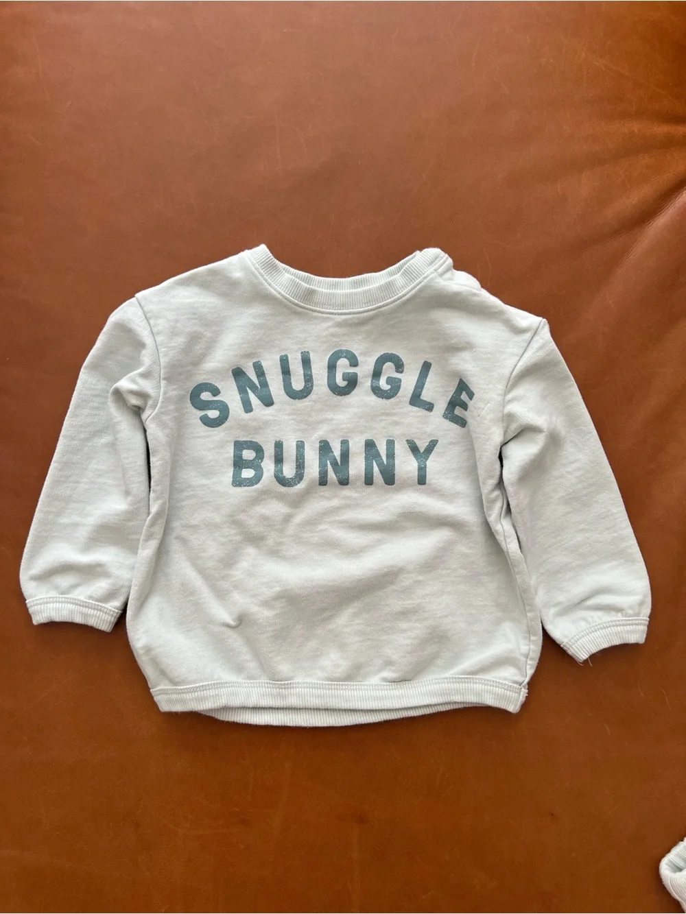 LITTLE CO. Organic Cotton Snuggle Bunny Set, 18mo